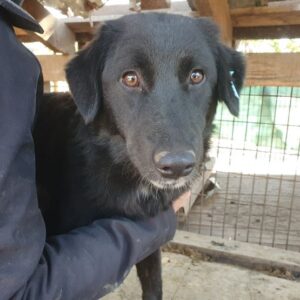 ILVIE - auf PDR PS im PLZ Bezirk 82