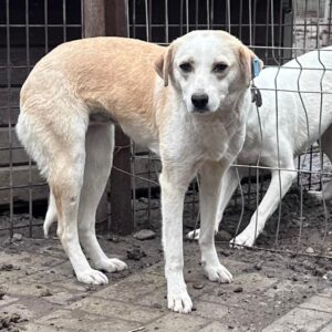 MALU - vermisst 11/24