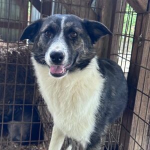 MIA - ausgereist zum TST Rösrath