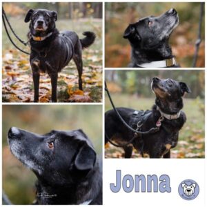 Jonna in 91056 Erlangen