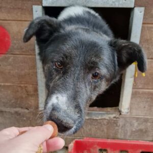 VIATO - vermisst 04/25