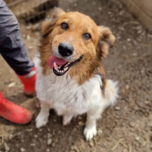 REED - ausgereist zum TH Iserlohn