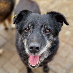 YORU - reserviert Betty - vermittelt